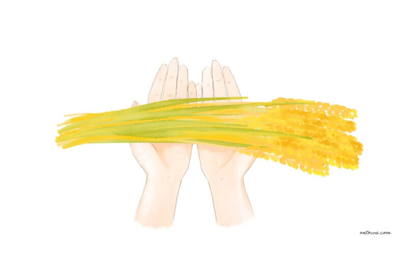 d3228e2dfd797244042eb478228a2253 画像